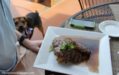 Luna tries to steal the porterhouse steak during dinner at Grandale Restaurant and 868 Estate Vineyards.