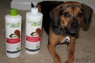 Luna and I try Pet Odor and Stain Eliminator from Unique Natural Products.