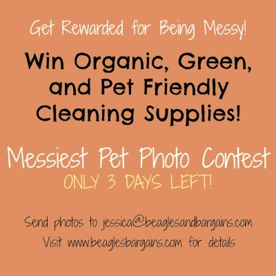 Messiest pet photo contest for Unique Natural Products gift basket
