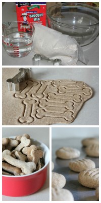 DIY Gingerbread Biscuits from the Three Dog Bakery are fun and tasty.