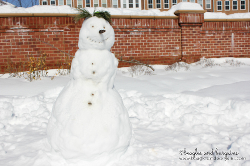 A good looking snowman built with love and paws.