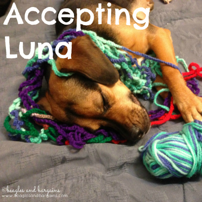 Accepting Luna