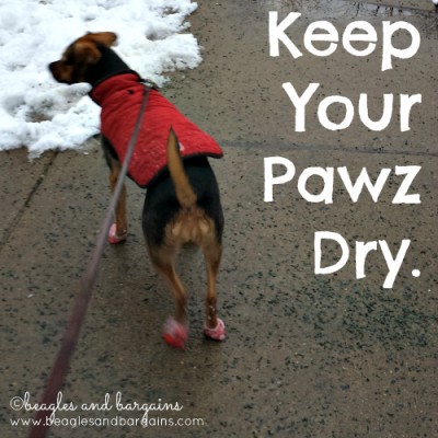 Keep Your Pawz Dry