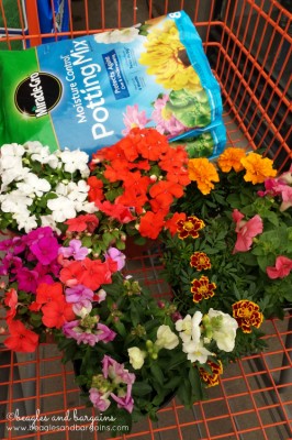 Picking up pet friendly flowers and soil from Home Depot