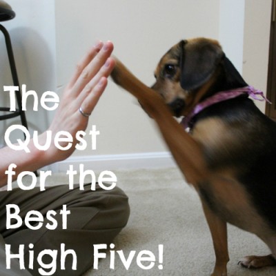 The Quest for the Best High Five!