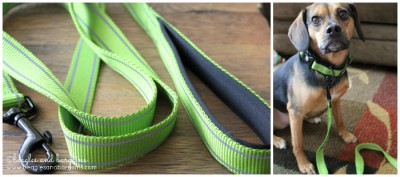 Reflective Collar and Leash from Alcott