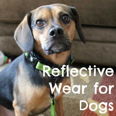 Reflective Wear for Dogs