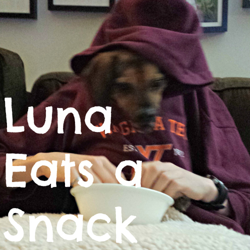 Luna Eats a Snack
