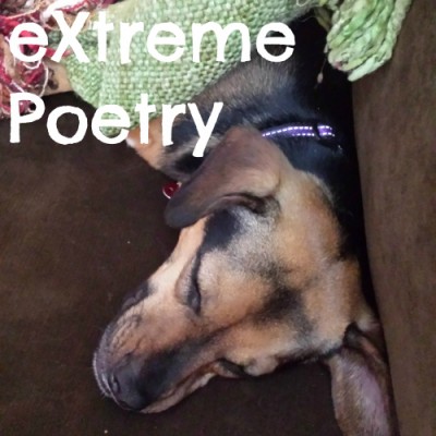 eXtreme Poetry