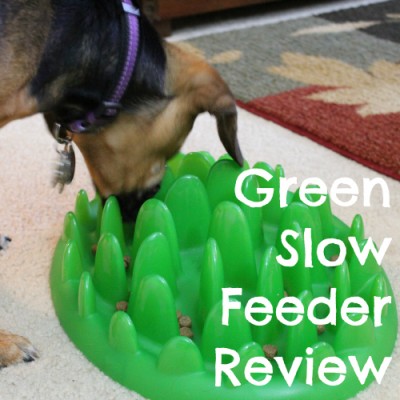 Green Slow Feeder Review