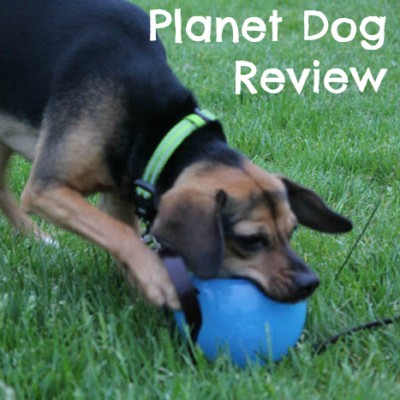 Planet Dog Review