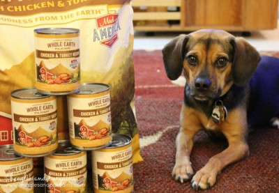 Luna poses with Merrick's Whole Earth Farms dog food.