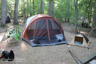 Camping outdoors, but staying flea and tick free with Wondercide EVOLV