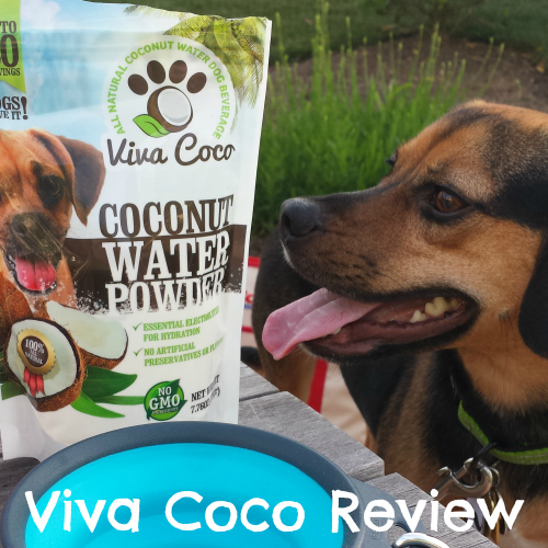 Viva Coco Review