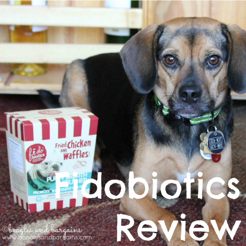 Fidobiotics Review