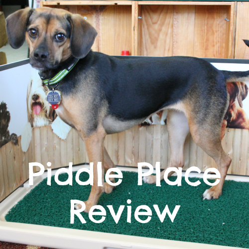 Piddle Place Review