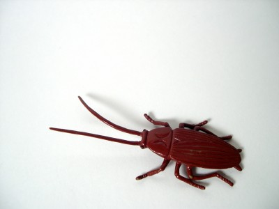 Don't worry this is a fake cockroach. Who needs real ones?