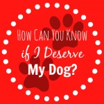 How Can You Know if I Deserve My Dog?