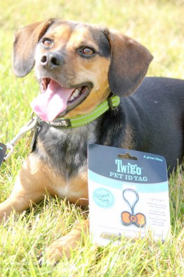 Luna is thrilled to try out Twigo Tags