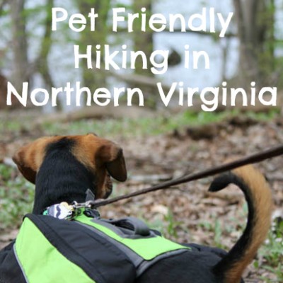 Pet Friendly Hiking in Northern Virginia