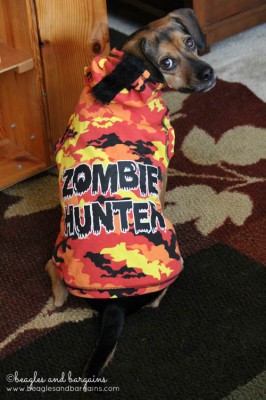 Luna dressed as a Zombie Hunter for Halloween from Petco