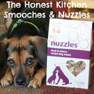 The Honest Kitchen Smooches and Nuzzles