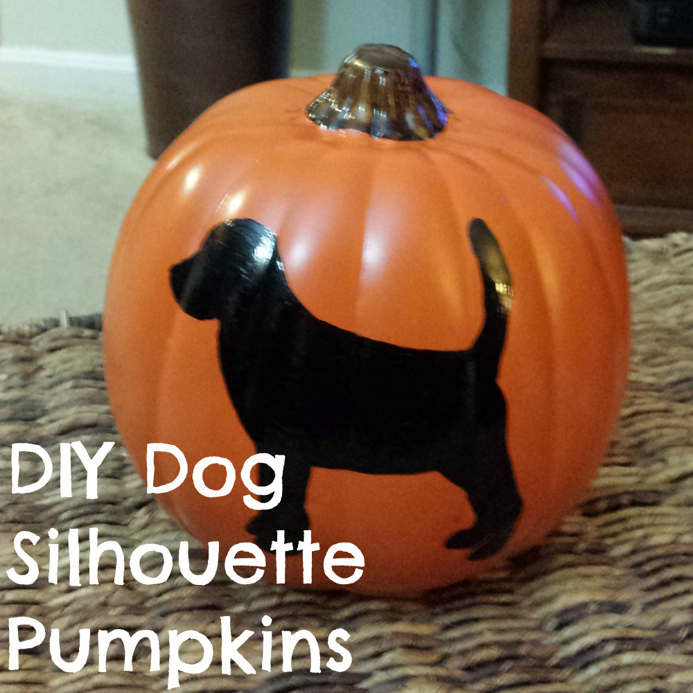 DIY Dog Silhouette Pumpkins