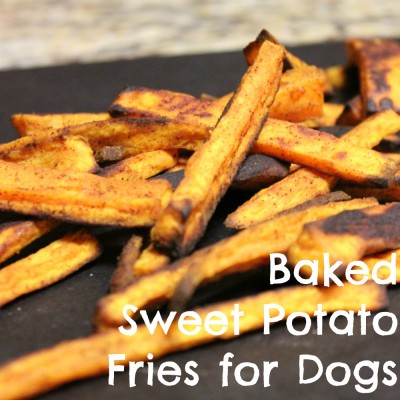 Baked Sweet Potato Fries for Dogs
