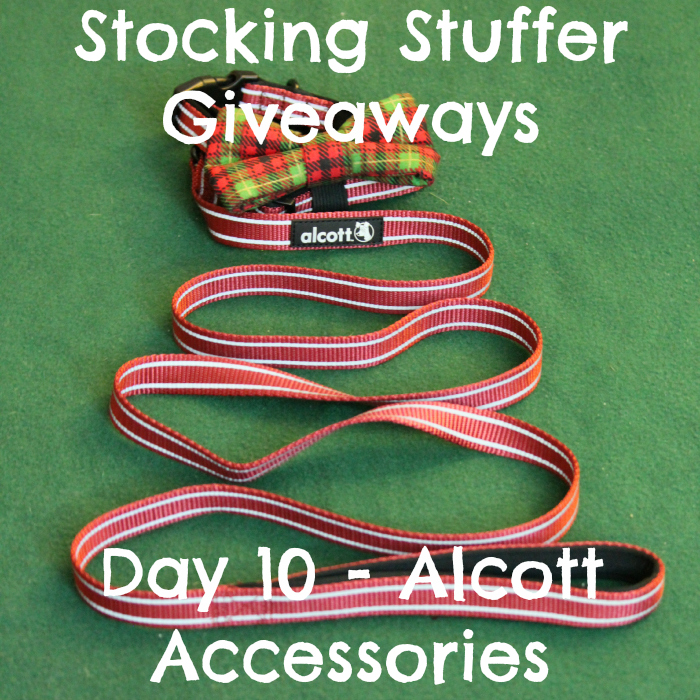 Stocking Stuffer Giveaway - Day 10 - Alcott Accessories