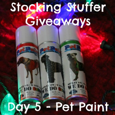 Stocking Stuffer Giveaway - Day 5 - Pet Paint