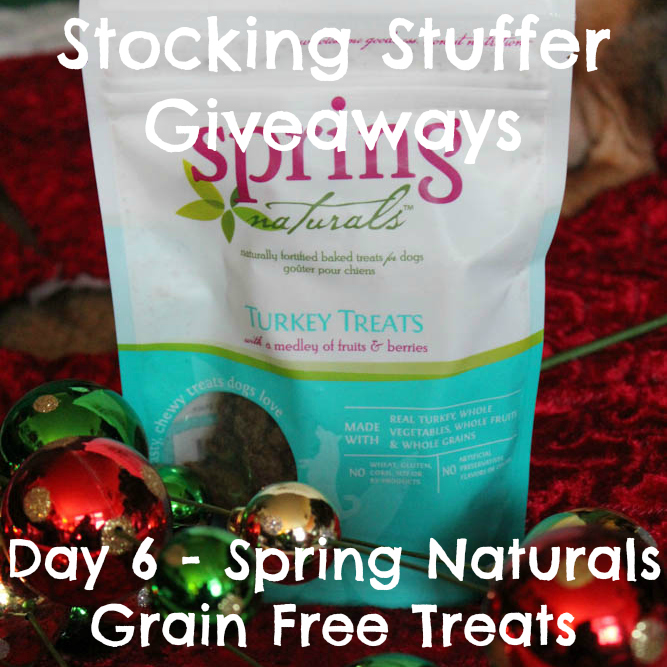 Stocking Stuffer Giveaway - Day 6 - Spring Naturals Grain Free Treats