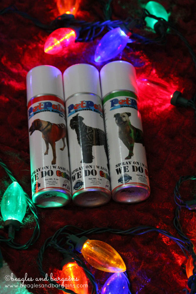 Stocking Stuffer Giveaway - Day 5 - Pet Paint