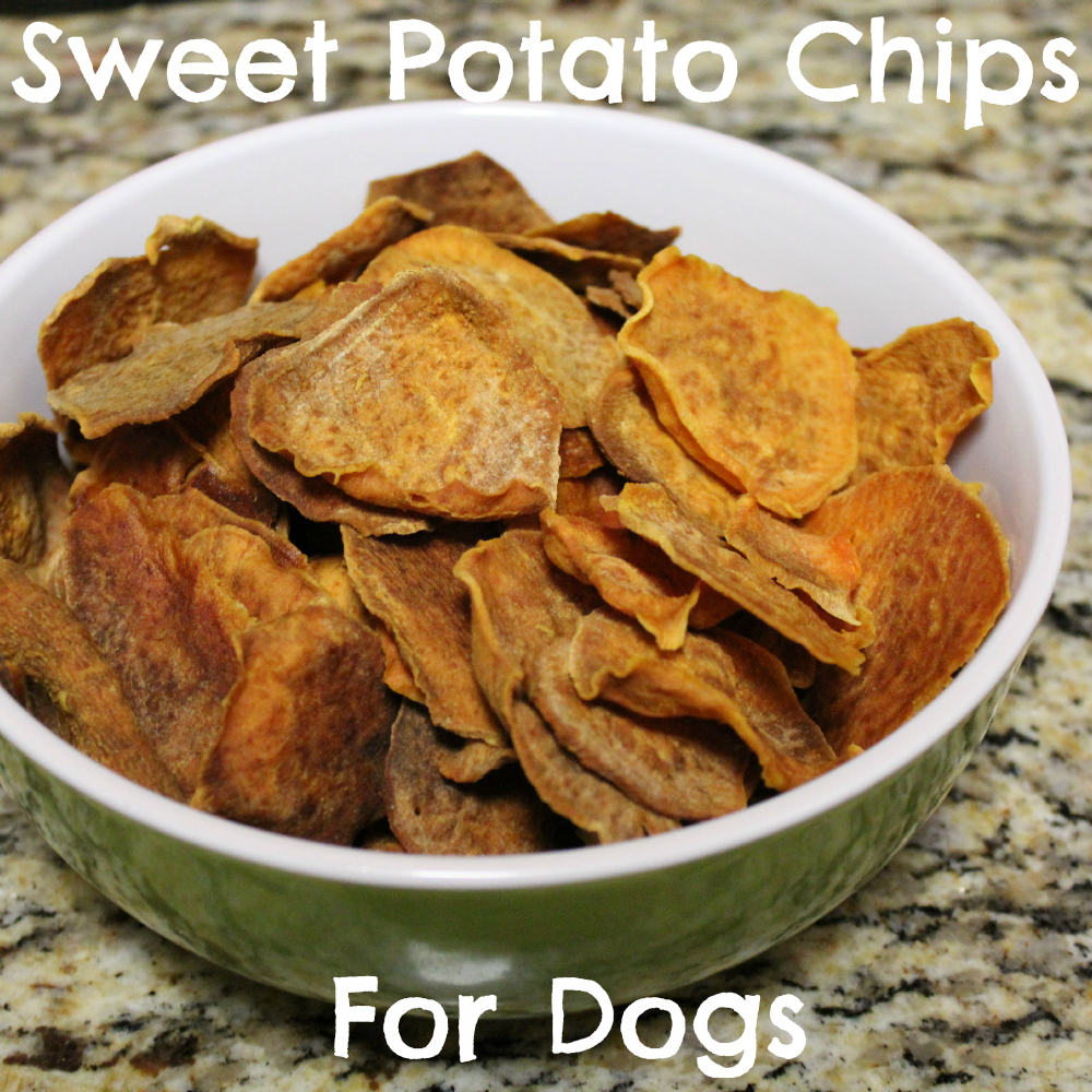 Sweet Potato Chips for Dogs
