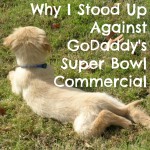 Why I Stood Up Against GoDaddy’s Super Bowl Commercial #NoDaddy