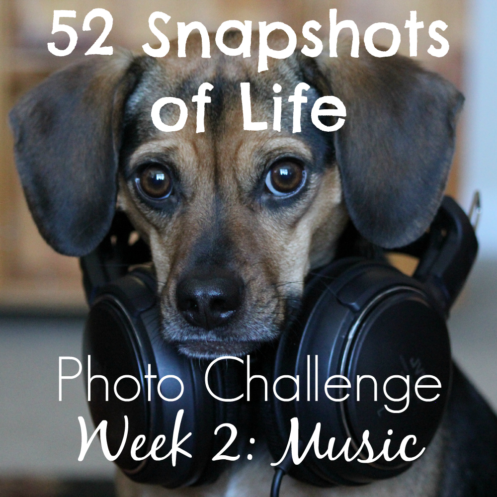 52 Snapshots of Life: - Photo Challenge - Week 2: MUSIC