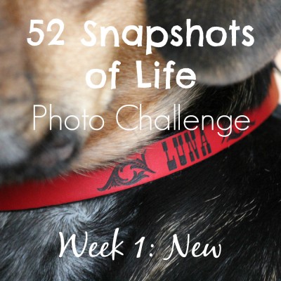 52 Snapshots of Life Week 1: NEW