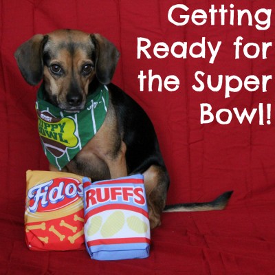 Getting Ready for the Super Bowl!