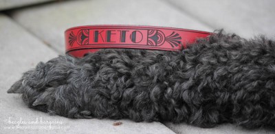 Keto with his RUHA Leather dog collar