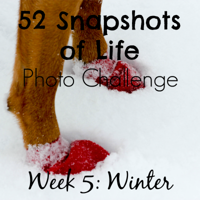 52 Snapshots of Life: - Photo Challenge - Week 5: Winter