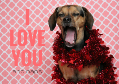 I love you and naps - Printable Valentine's Day Cards for Dogs and Dog Lovers