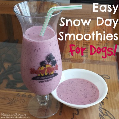 Easy Snow Day Smoothies for Dogs (and Humans)!