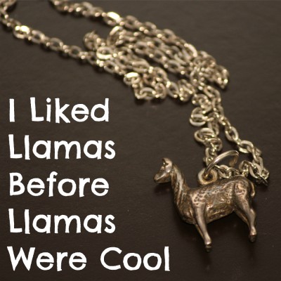 I Liked Llamas Before Llamas Were Cool