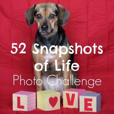 52 Snapshots of Life - Photo Challenge - Week 7: LOVE