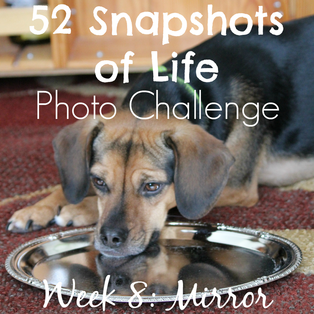 52 Snapshots of Life - Photo Challenge - Week 8: MIRROR