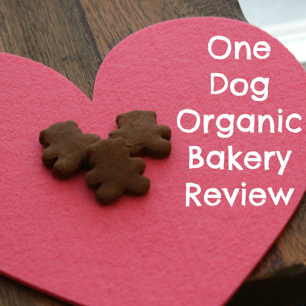 One Dog Organic Bakery Review
