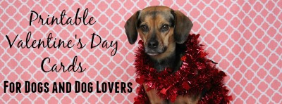 Printable Valentine's Day Cards for Dogs and Dog Lovers