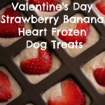 Valentine’s Day Strawberry Banana Heart Frozen Dog Treats