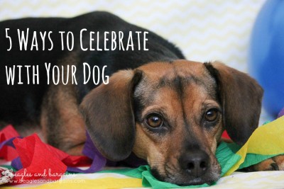 5 Ways to Celebrate with Your Dog