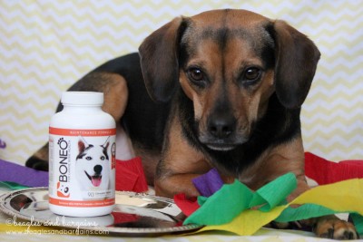 Luna uses BONEO Canine - Bone & Joint Supplement For Dogs