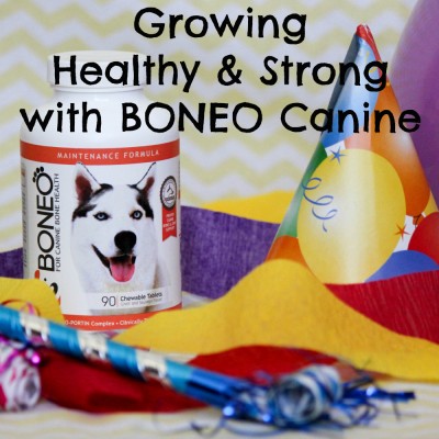Growing Healthy and Strong with BONEO Canine